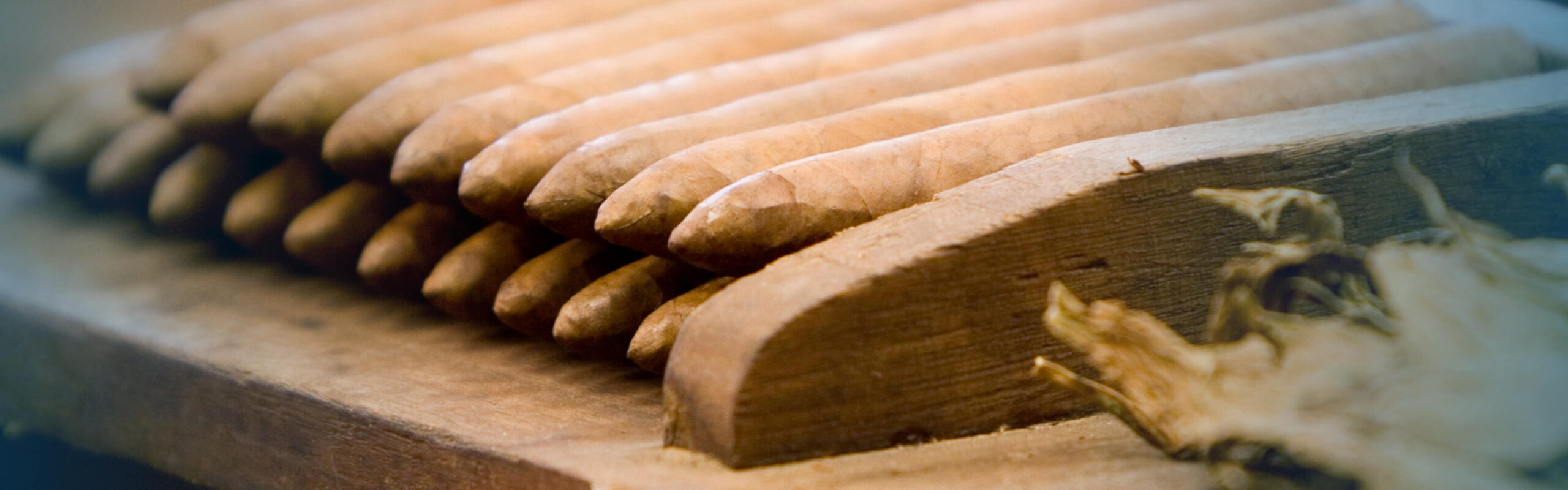 Intertabak geht mit Boss Info den sicheren Weg in die Cloud