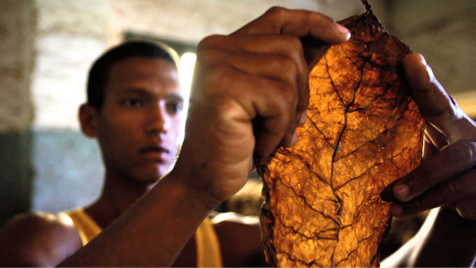 Blog-Case-Study-Intertabak-2