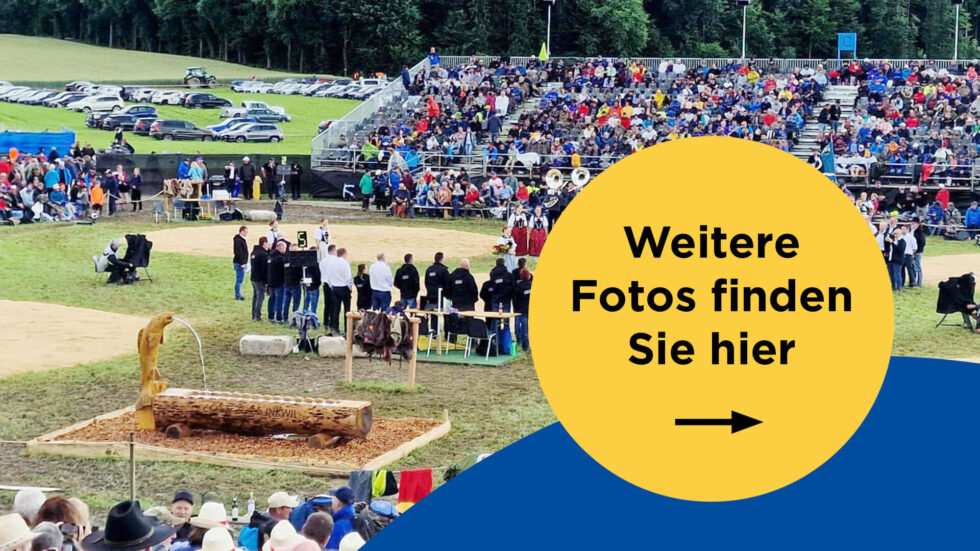 Foto OSF25 mit Verweis zur Galerie